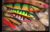 RJ Fishing Lures and hand crafted crank baits for walleye, musky, bass, and trout. Custom painted walleye fishing lures, musky fishing baits, bass lures, trout and salmon trolling crankbaits and blade baits.